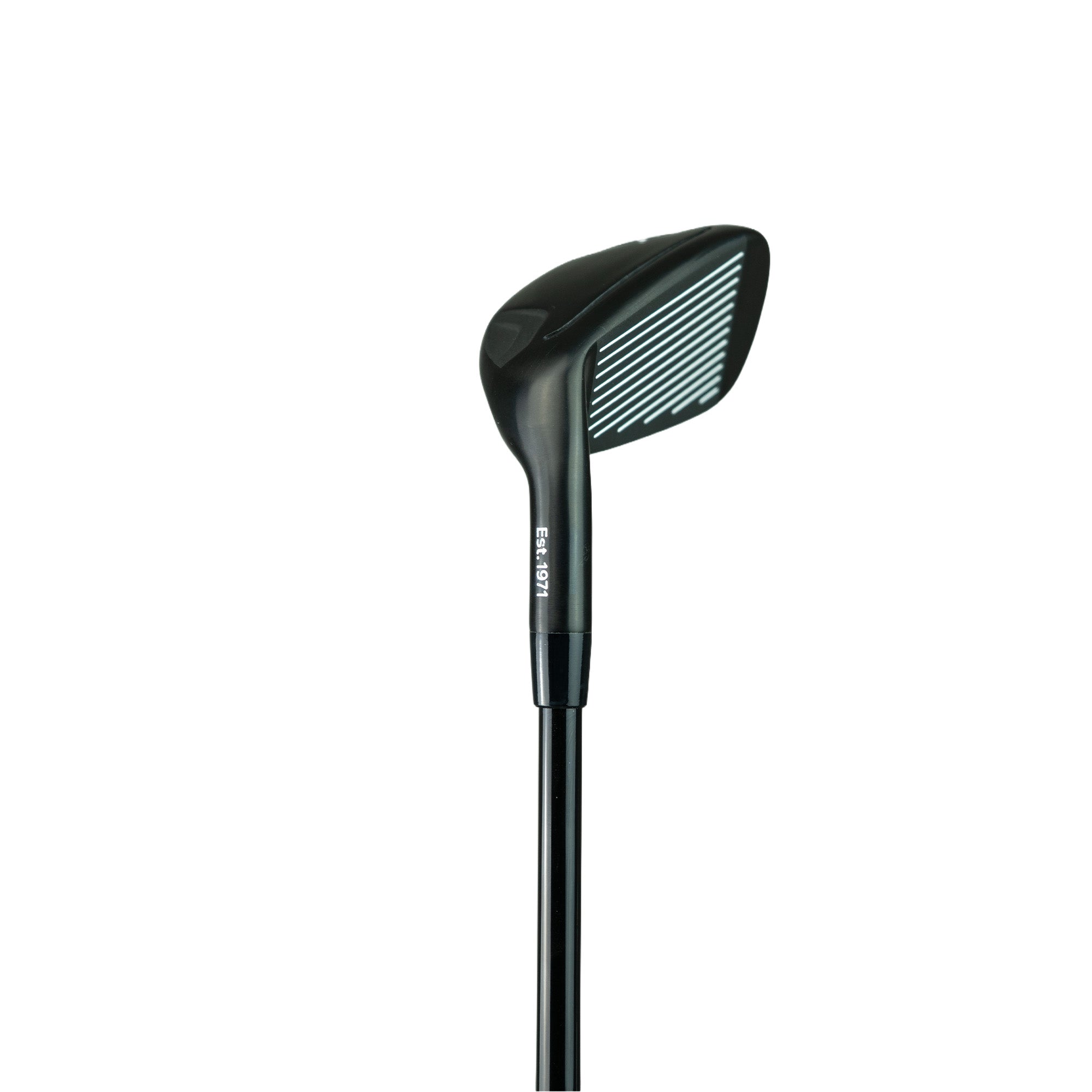 Lynx USA Model