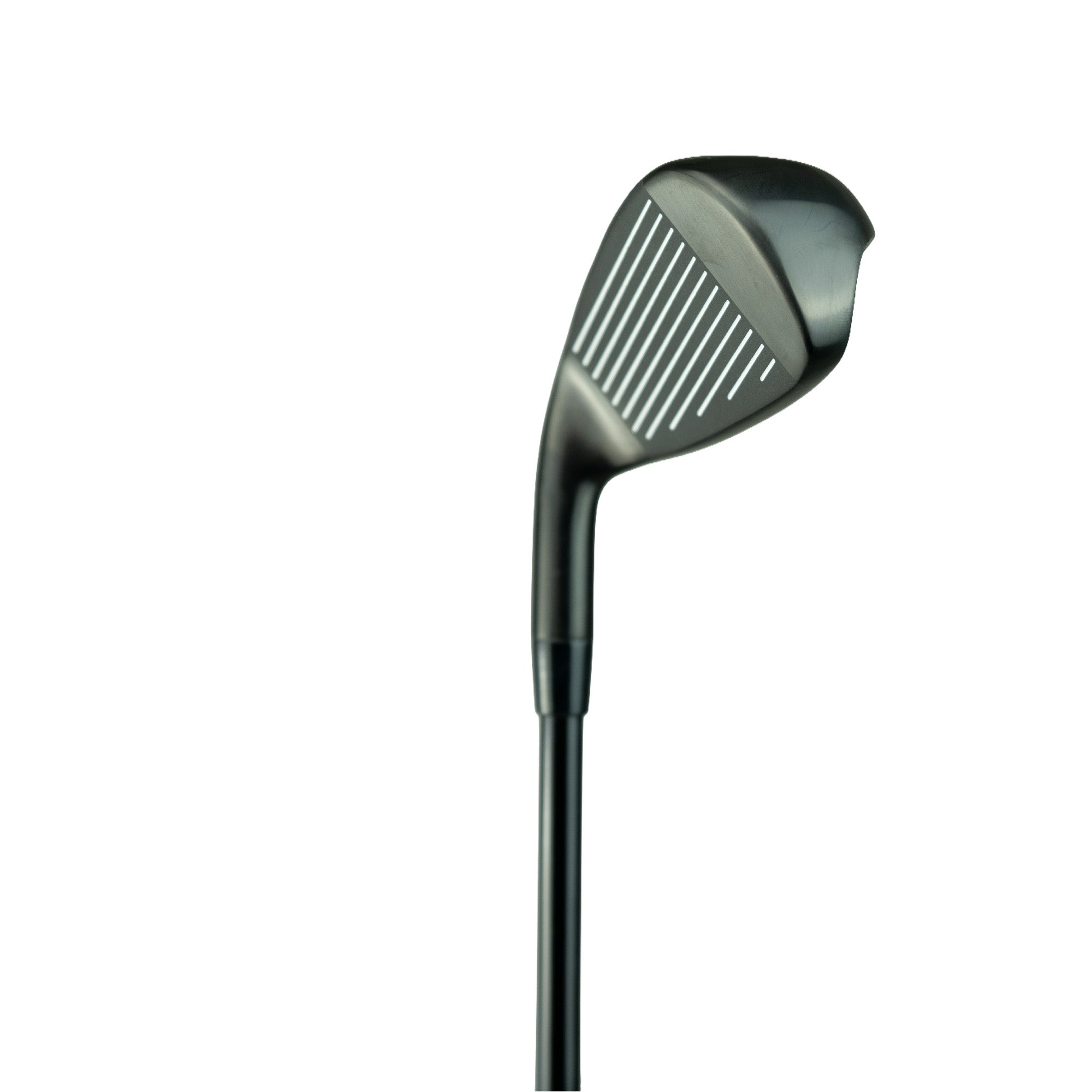 Lynx USA Model