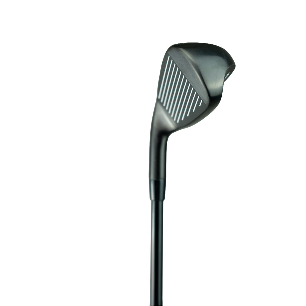 Lynx USA Model
