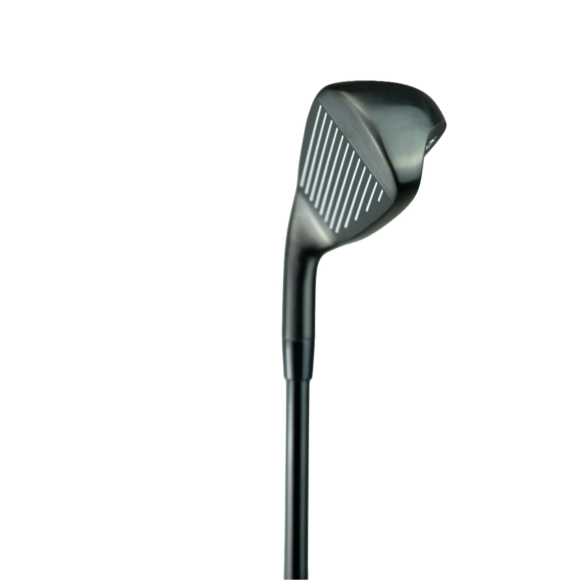 Lynx USA Model